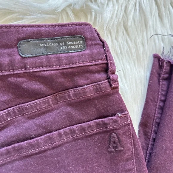Articles Of Society Skinny Jeans - Picture 5 of 8